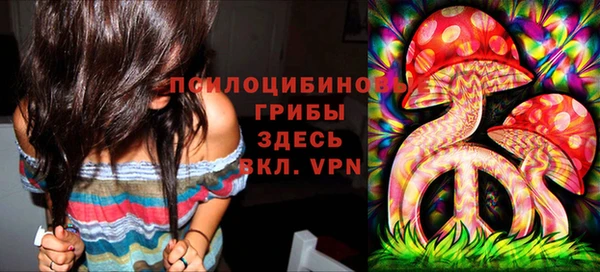 спайс Алексин