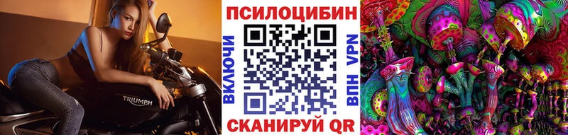 Псилоцибиновые грибы мицелий цены Балашиха
