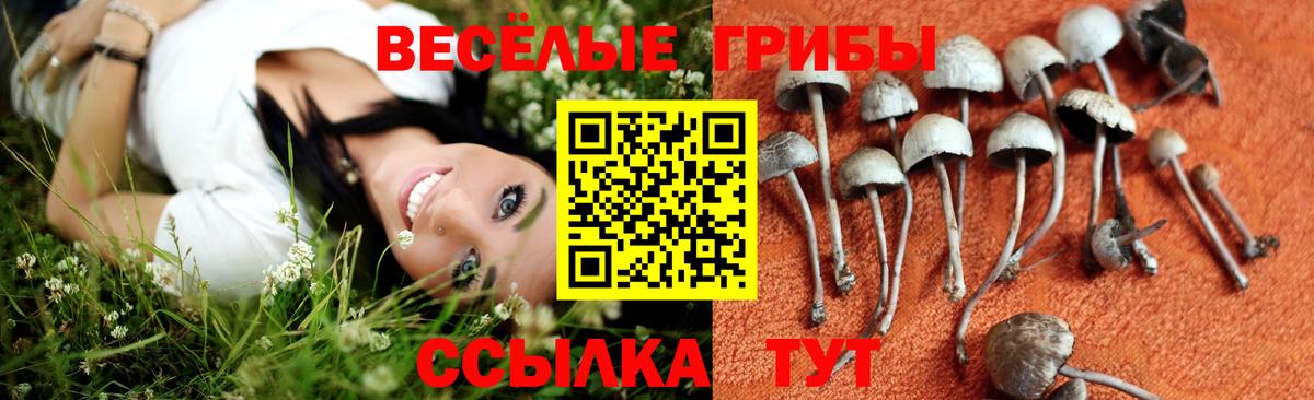 Псилоцибиновые грибы GOLDEN TEACHER Балашиха